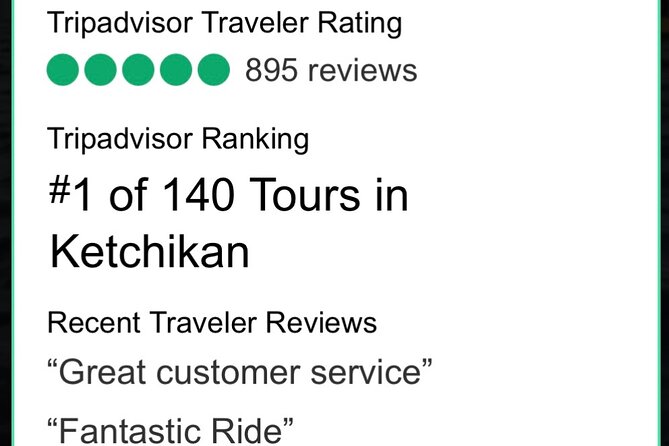 Ketchikan: Kayak Eco-Tour - The 4-hour timeline: from cruise pickup to dock-to-dock paddling