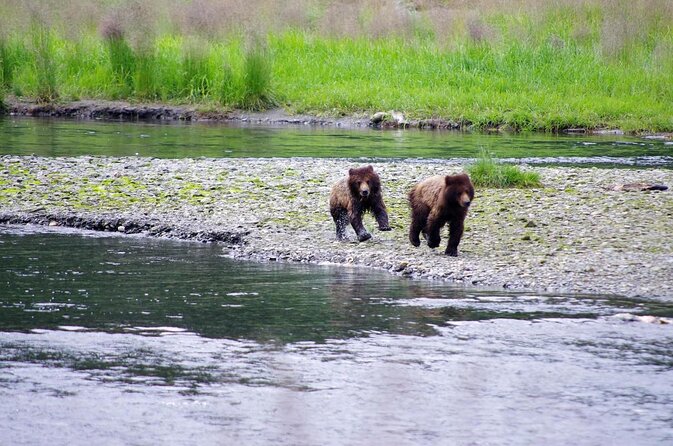 Ketchikan Rainforest Canoe and Nature Walk - Key highlights you should know before you go