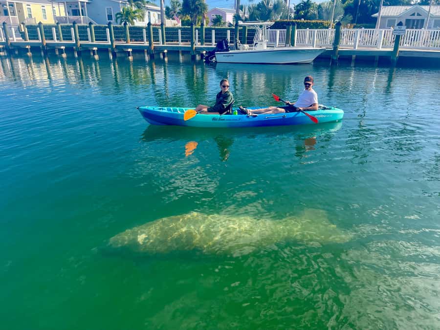 Key West: 2-hour Mangrove Kayak Tour - Key highlights before you go