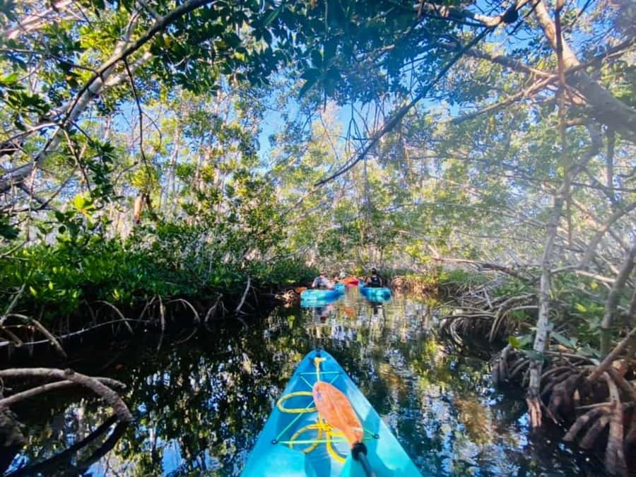 Key West: 2-hour Mangrove Kayak Tour - From Cow Key Marina to the water: what your start sets up