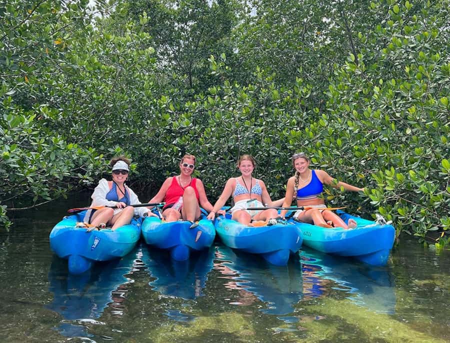 Key West: 2-hour Mangrove Kayak Tour - Wildlife spotting that feels real: manatees, nurse sharks, jellyfish, and more