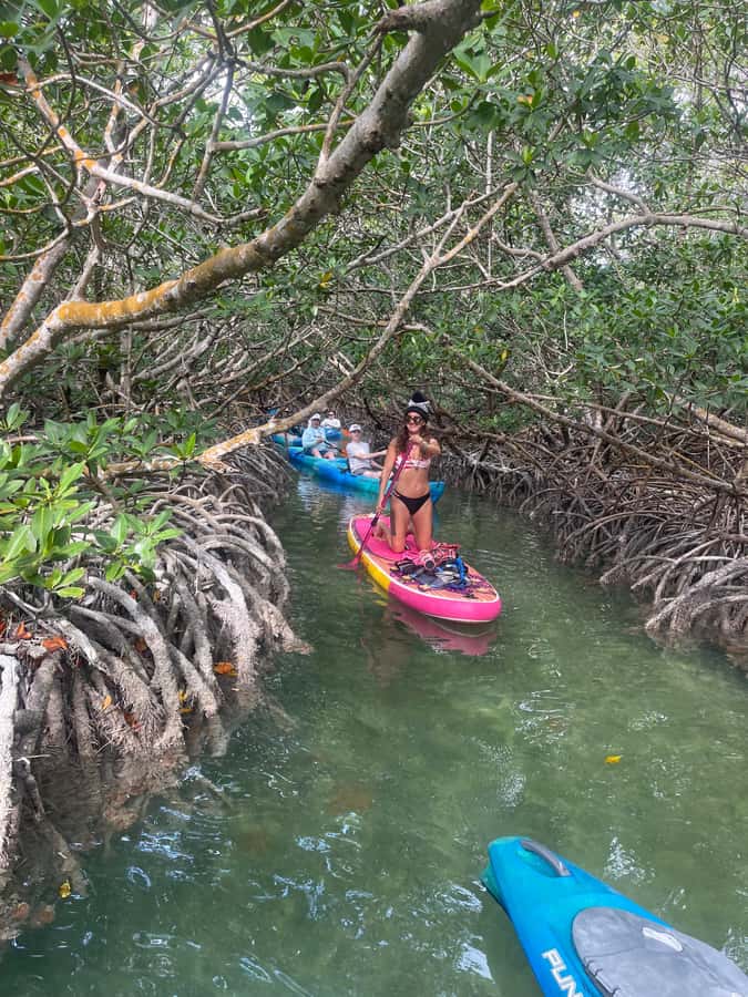 Key West: 2-hour Mangrove Kayak Tour - Paddling into the mangrove tunnels: the main act