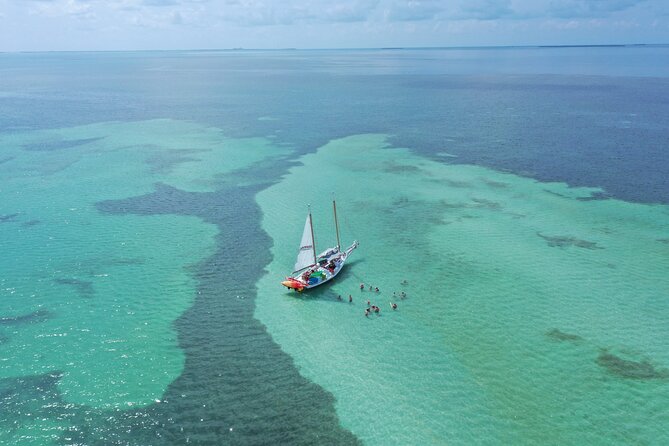 Key West Full-Day Ocean Adventure: Kayak, Snorkel, Sail - Kayaking the Mangroves: Quiet Water, Close-Up Wildlife