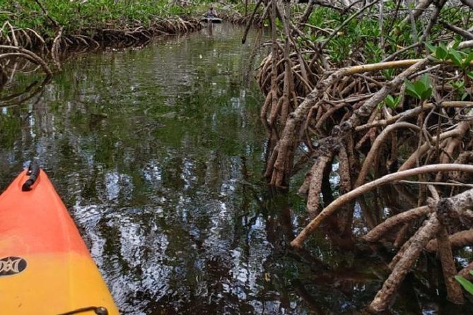 Key West Kayak Rental - Key West Kayak Rental: Quick Hits Before You Go