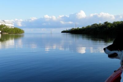 Key West Kayak Rental - Your First Time Paddling: What the Lesson Actually Covers