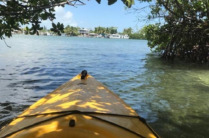 Key West Kayak Rental - Staying Found When the Route Feels Less Obvious