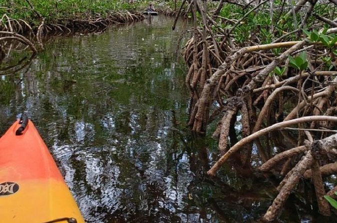 Key West Kayak Rental - What’s Included, What You’ll Pay For, and What to Bring