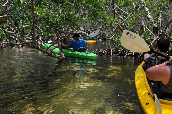 Key West Kayak Rental - Who Should Book This Kayak Rental in Key West