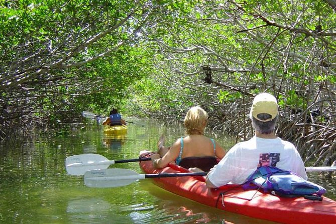 Key West Mangrove Kayak Eco Tour - Key West Mangrove Kayak Tour: The Stuff That Makes It Worth Your Time