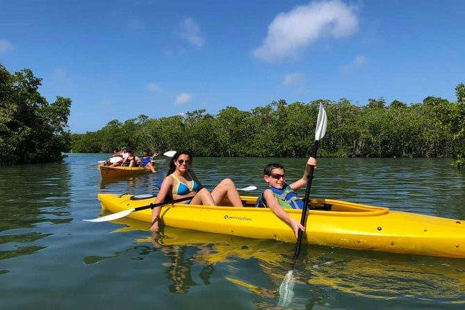 Key West Mangrove Kayak Eco Tour - From Hurricane Hole Marina to Mangrove Tunnels