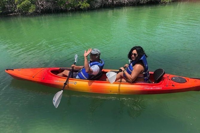 Key West Mangrove Kayak Eco Tour - Wildlife in the Mangroves: What You Can Spot Up Close