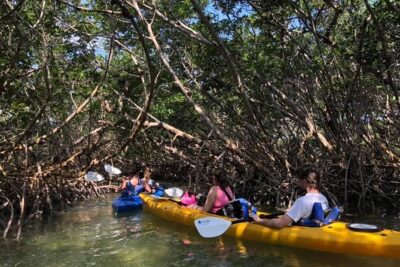 Key West Mangrove Kayak Eco Tour - The 2-Hour Paddle: What the Time Actually Feels Like