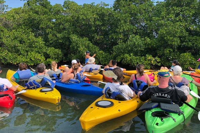 Key West Mangrove Kayak Eco Tour - Dog Friendly in Key West: A Rare Win