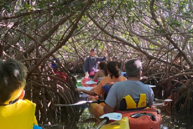Key West Mangrove Kayak Eco Tour - Price and Value: Is $80 a Fair Deal?