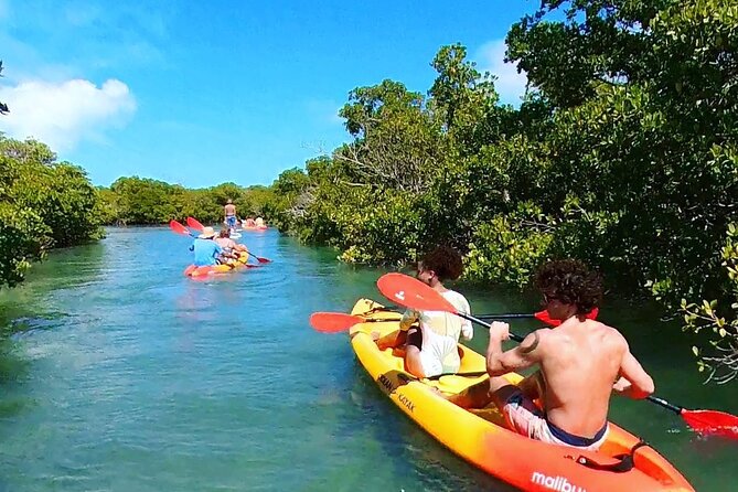 Key West Sandbar Charter With Kayak Tour: Includes Lunch & Drinks - Why This Key West Sandbar + Kayak Day Feels Different