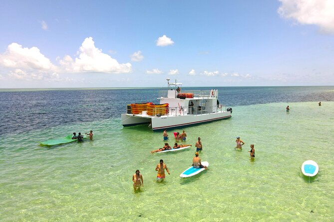 Key West Sandbar Charter With Kayak Tour: Includes Lunch & Drinks - Entering The Mangroves: Kayaking Through the Mud Keys