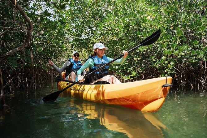 Key West Sandbar Charter With Kayak Tour: Includes Lunch & Drinks - Reef Snorkel Time: Included Gear and Optional Coaching