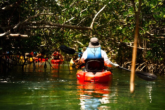 Key West Sandbar Charter With Kayak Tour: Includes Lunch & Drinks - Jewfish Basin Sandbar: The Real Reason You Book