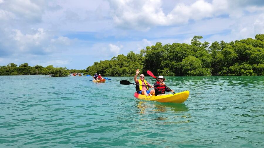 Key West: Sandbar Excursion & Kayak Tour with Lunch & Drinks - Price and Value: Why $149 Feels Fair for This Mix