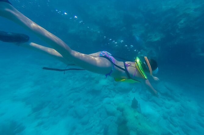 Key West Schooner Backcountry Eco Tour Sail Snorkel and Kayak - Key highlights you’ll care about