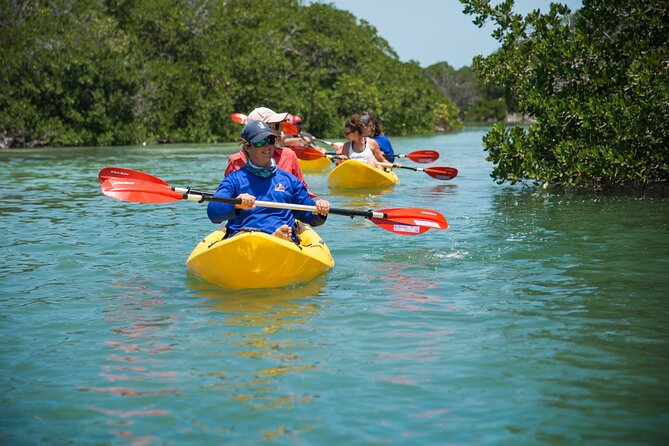 Key West Schooner Backcountry Eco Tour Sail Snorkel and Kayak - Snorkeling: premium gear, real sea life, and cold-water reality