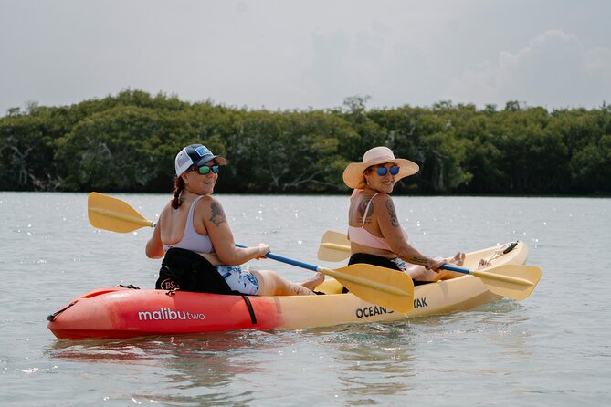 Key West Schooner Backcountry Eco Tour Sail Snorkel and Kayak - National Wildlife Refuge: mangroves, seagrass, and coral life
