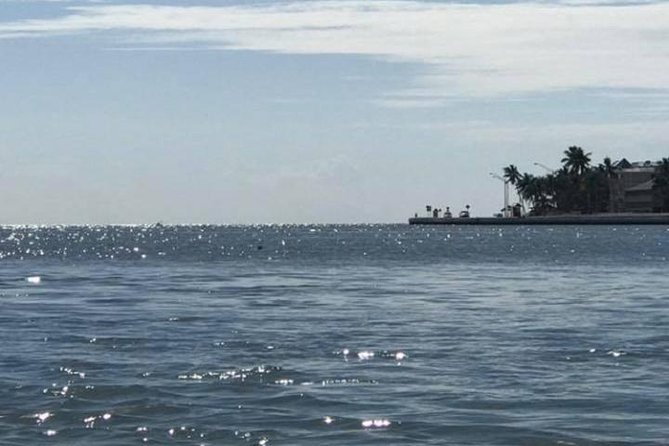 Key West Stand Up Paddleboard Rental - Key Facts You Should Know Before You Rent