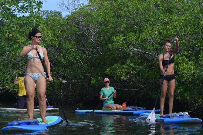 Key West Stand Up Paddleboard Rental - Check-In, Map Time, and the Dry-Land Lesson That Sets the Tone