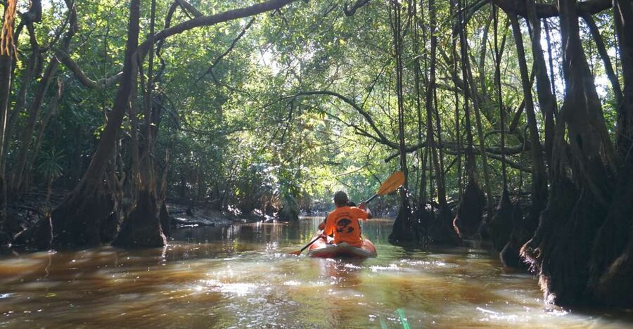 Khao Lak: Little Amazon Canoe Ride & Tam Nang Waterfall Tour - Si Phang-nga National Park Walk: Easy Steps, Real Rainforest Clues