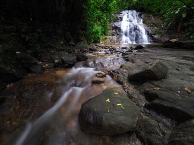 Khao Lak: Little Amazon Canoe Ride & Tam Nang Waterfall Tour - Little Amazon Canoe Ride: Mangroves, Monitors, and Bird Sightings