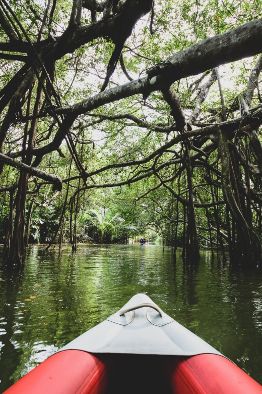 Khao Lak: Little Amazon Canoe Ride & Tam Nang Waterfall Tour - Getting There Comfortably (and What to Pack)