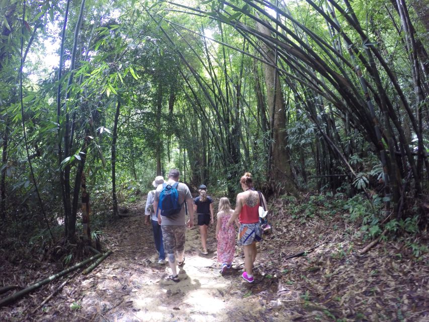 Khao Lak: Little Amazon Canoe Ride & Tam Nang Waterfall Tour - Who Should Book This Khao Lak Tour