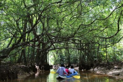 Khao Lak: Sri Phang Nga Canoe and Tam Nang Waterfall Tour - Morning pickup in Khao Lak: easy start, early rhythm