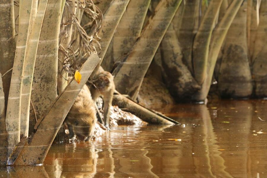 Khao Lak: Sri Phang Nga Canoe and Tam Nang Waterfall Tour - Hot springs: warm water after a cool-water day