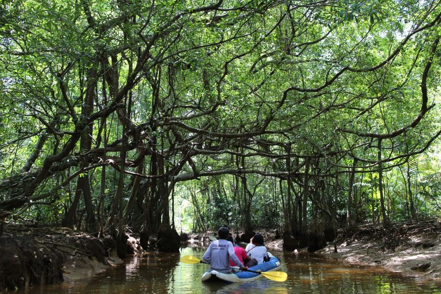 Khao Lak: Sri Phang Nga Canoe and Tam Nang Waterfall Tour - Morning pickup in Khao Lak: easy start, early rhythm