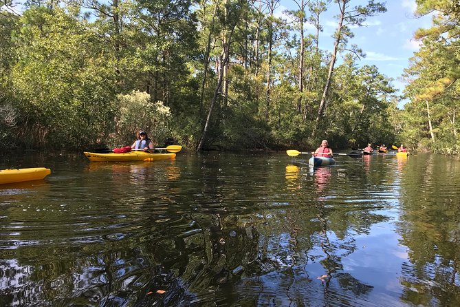 Kitty Hawk Maritime Forest Kayak Tour - Key Points You’ll Care About Before You Go