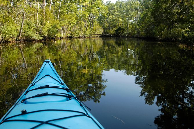 Kitty Hawk Maritime Forest Kayak Tour - A 2-Hour Glide Through Kitty Hawk Woods Coastal Reserve