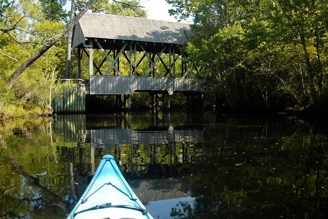 Kitty Hawk Maritime Forest Kayak Tour - Stop in Kitty Hawk Woods: What You’ll See Along the Way