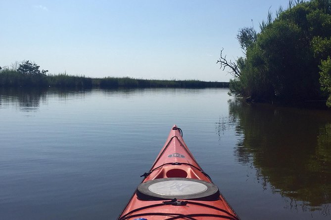 Kitty Hawk Maritime Forest Kayak Tour - Timing Tips: Heat, Light, and When to Expect a Smoother Paddle