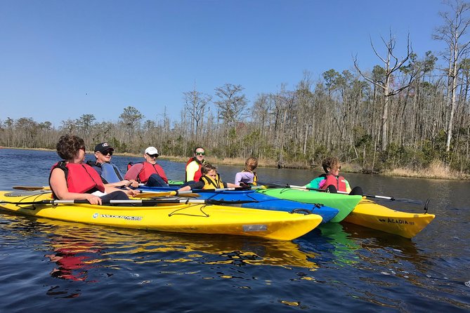 Kitty Hawk Maritime Forest Kayak Tour - The Paddle Route: Creeks, Swamps, Ponds, and That Quiet “Glassy” Water