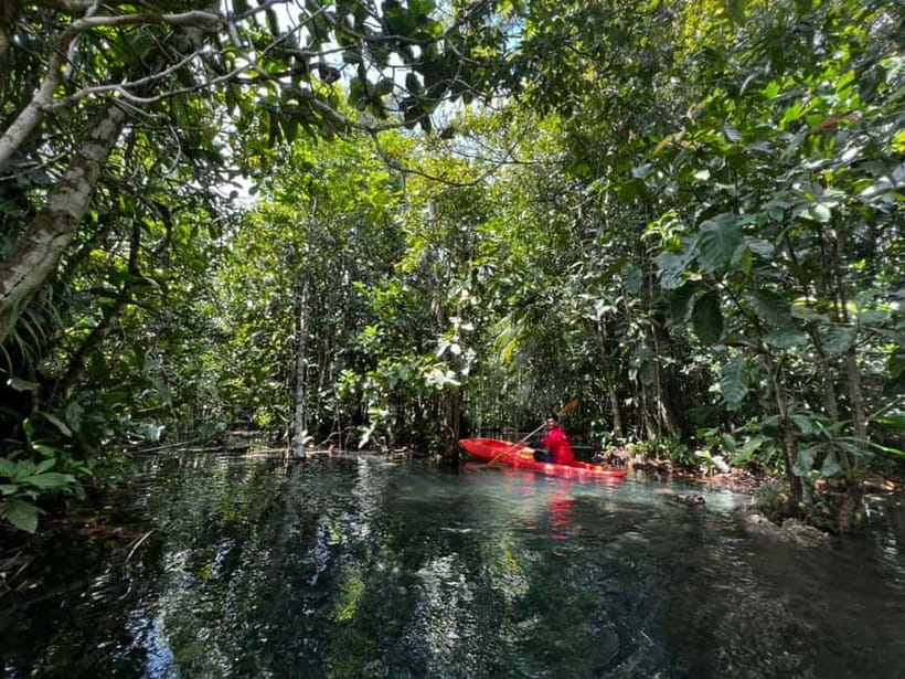 Klong Rud Kayaking with Hotel Transfer - Key points to know before you go