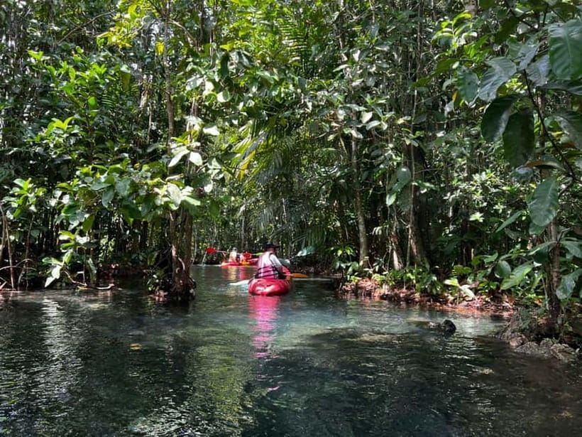 Klong Rud Kayaking with Hotel Transfer - Why Khlong Nam Sai feels special (and not just scenic)