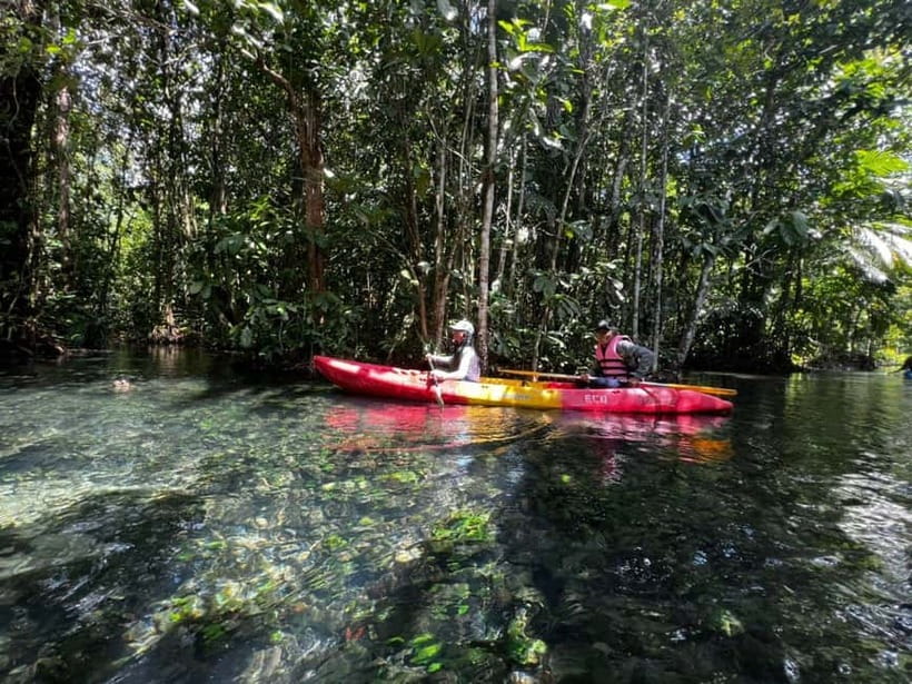 Klong Rud Kayaking with Hotel Transfer - On the water: kayaking through mangroves in a sheltered lagoon