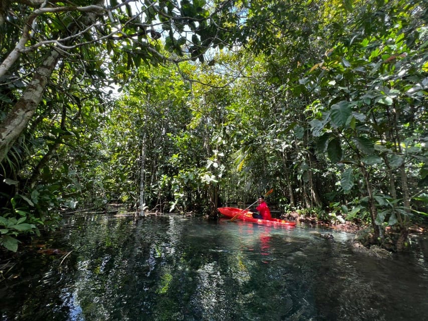 Klong Rud Kayaking with Hotel Transfer - Price and value: is $28 a fair deal?