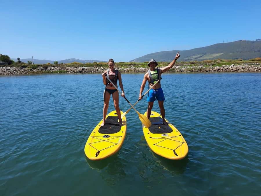 Knysna Kayak Hire - Why Knysna Lagoon Kayak Hire Feels Different (In a Good Way)