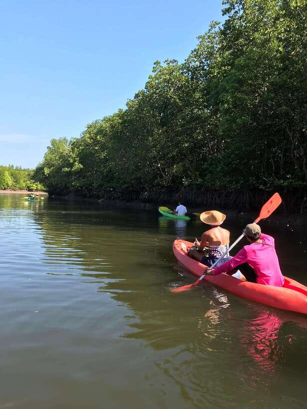 Ko Lanta: Half-Day Mangrove Kayaking Tour with Lunch - Getting From Your Hotel to Tung Yee Peng Pier