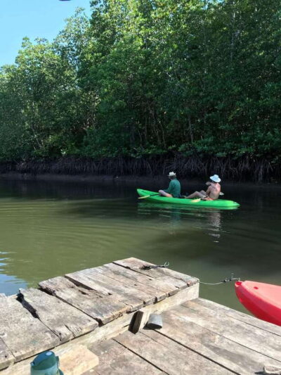 Ko Lanta: Half-Day Mangrove Kayaking Tour with Lunch - Paddling Ban Thung Yee Peng Mangroves: Birds, Mudskippers, and Fiddler Crabs
