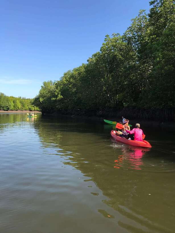 Ko Lanta: Half-Day Mangrove Kayaking Tour with Lunch - Village and Fish Farm: Why This Land Stop Makes the Tour Worth It
