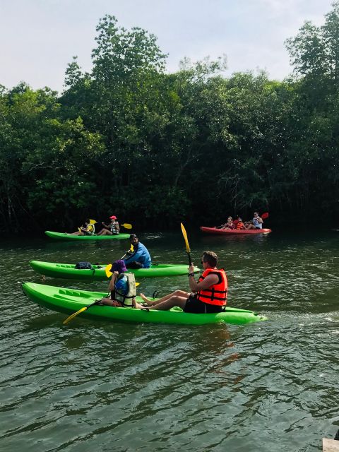 Ko Lanta: Half-Day Mangrove Kayaking Tour with Lunch - Lunch, Fruits, and the Wet-Seat Reality