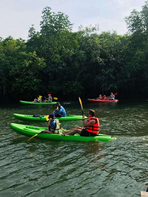 Ko Lanta: Half-Day Mangrove Kayaking Tour with Lunch - Should You Book This Tour on Ko Lanta?